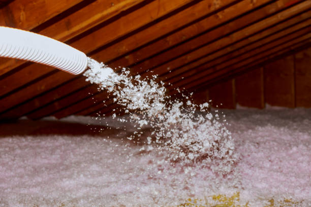 Best Local Insulation Services  in Lansdowne, PA