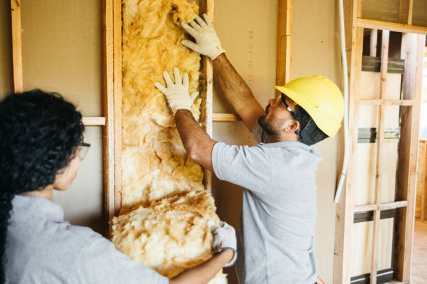 Best Insulation Inspection Services  in Lansdowne, PA