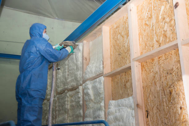 Best Insulation Removal  in Lansdowne, PA