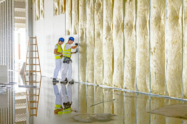 Best Insulation Replacement Services  in Lansdowne, PA